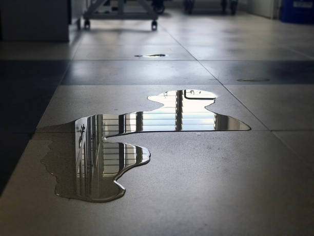 Best Local water damage restoration  in Creston, IA