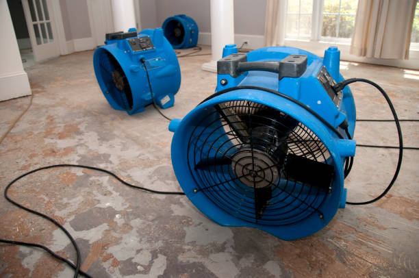 Best Professional water damage repair  in Creston, IA